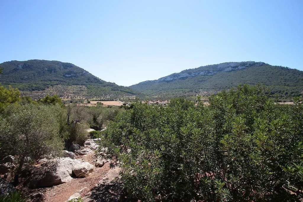 Çiftlik konaklama Ca'S Garriguer Villa Valldemossa  İspanya